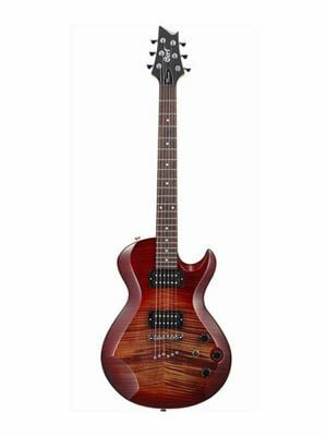 Elektro Gitarlar