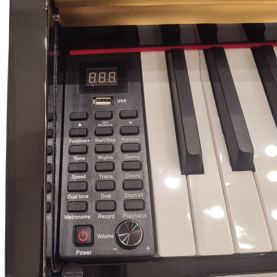Liszt L-690FMR Fonksiyonlu Siyah Dijital Piyano