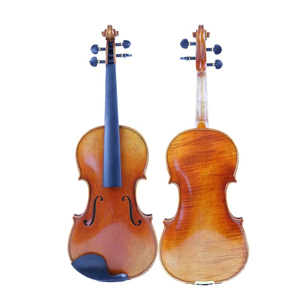 LE-310 Profesyonel Keman