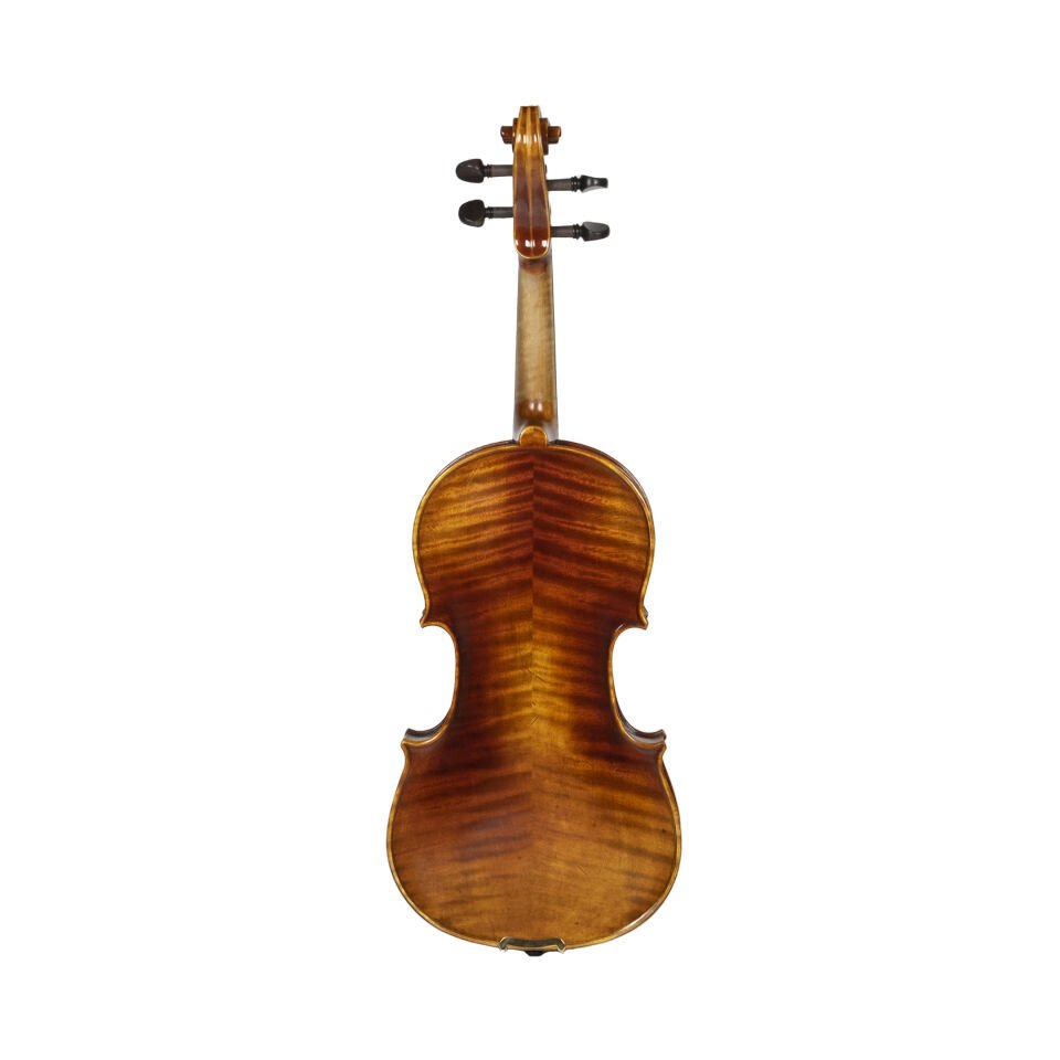 LE-420 Profesyonel Keman