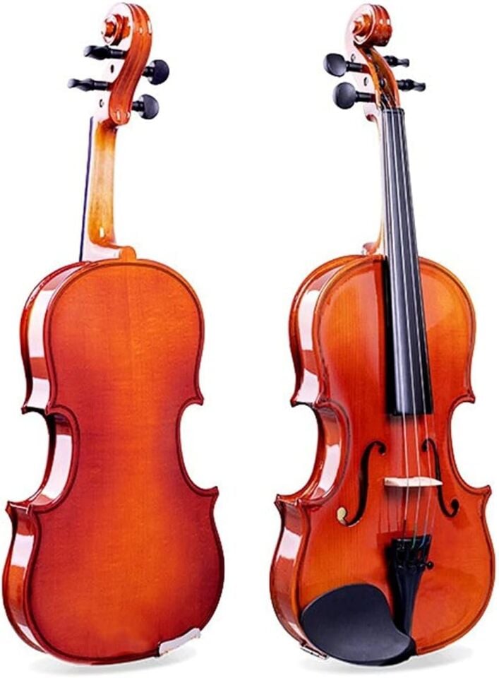 G. Steiner VFV-012 2/4 Masif Parlak Öğrenci Kemanı
