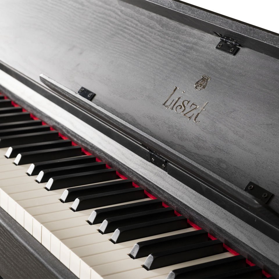 Liszt L-218MR Siyah Dijital Piyano